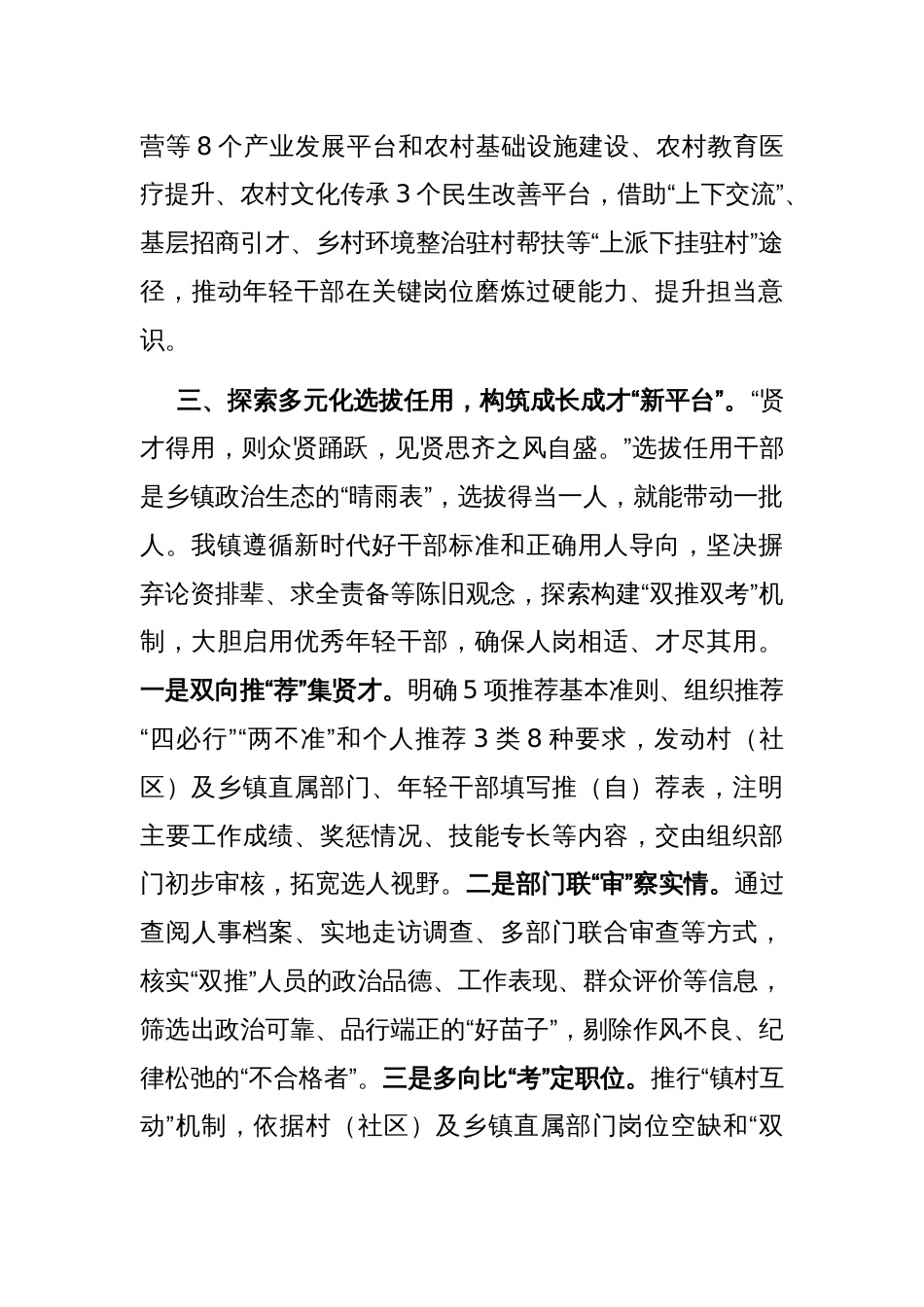 2025年乡镇年轻干部队伍建设经验交流_第3页