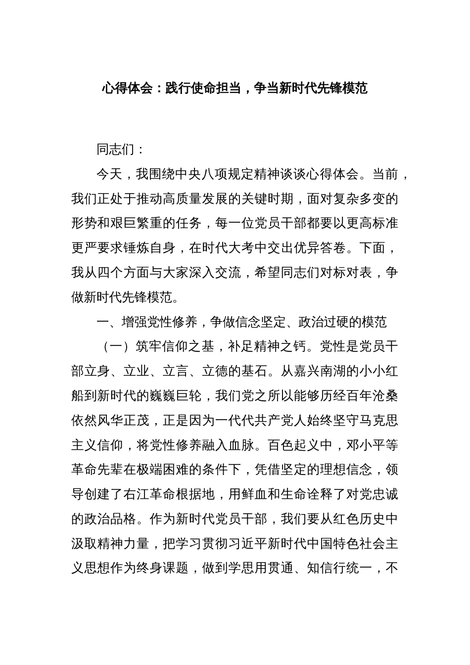 心得体会：践行使命担当，争当新时代先锋模范_第1页