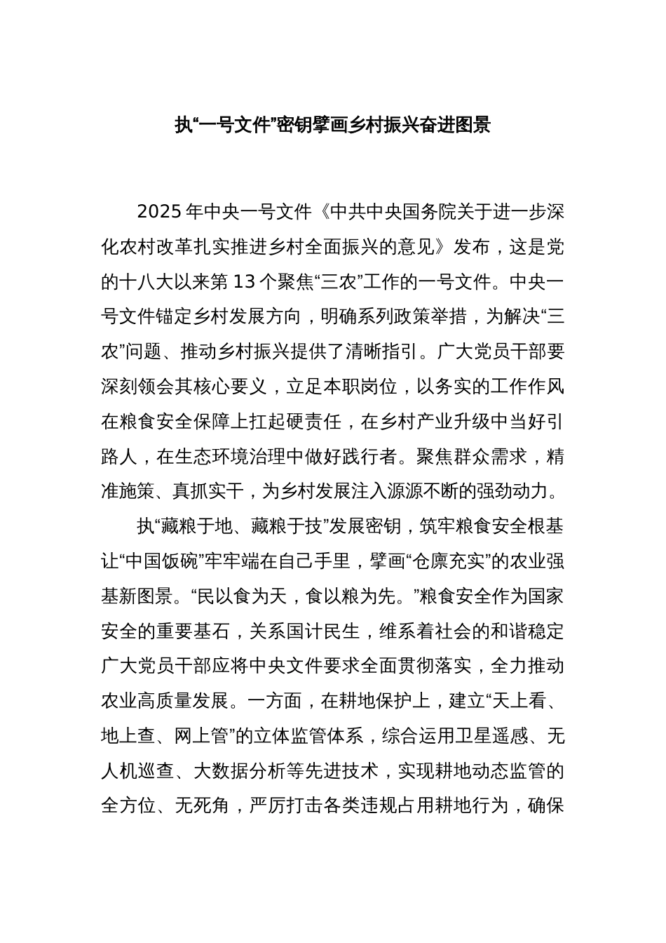 执“一号文件”密钥擘画乡村振兴奋进图景_第1页