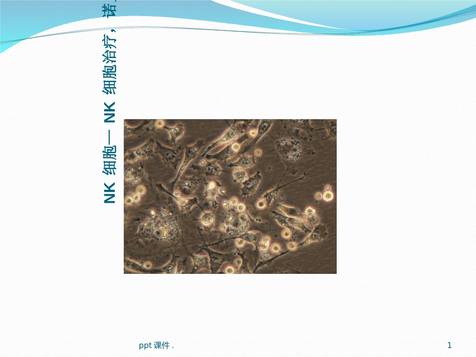 NK细胞疗法ppt课件_第1页