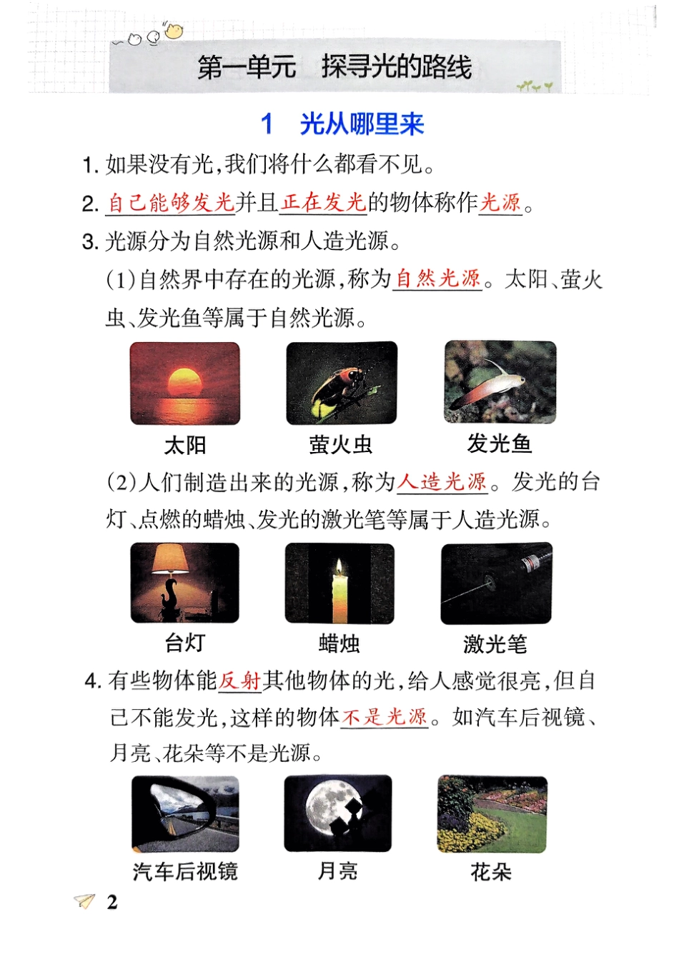 第一单元知识点（科学）_第2页