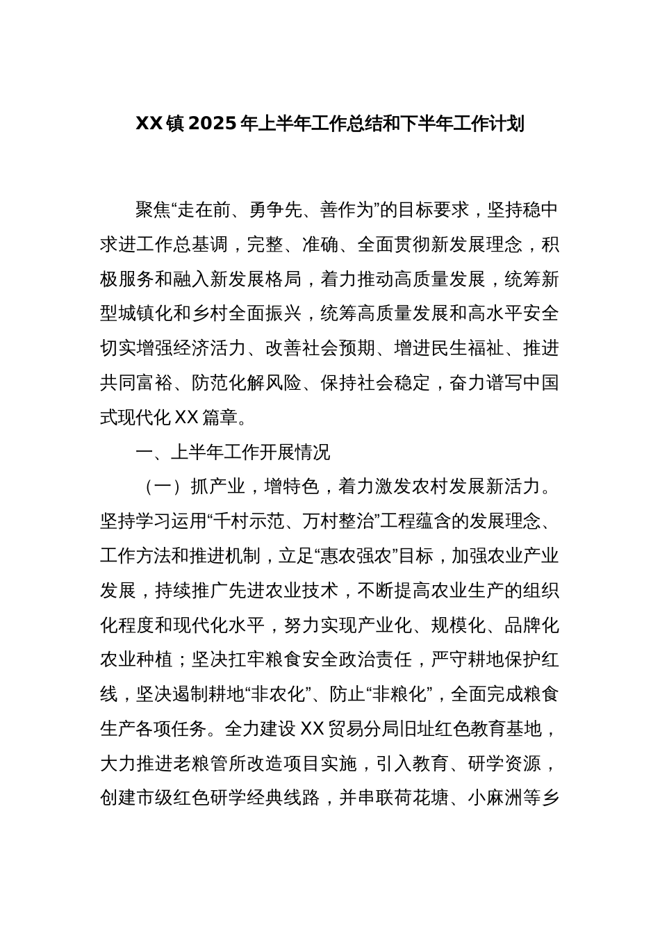 XX镇2025年上半年工作总结和下半年工作计划_第1页