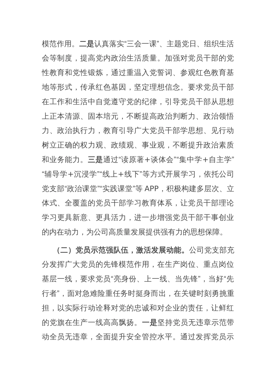 国企党支部上半年落实全面从严治党主体责任工作情况报告_第2页