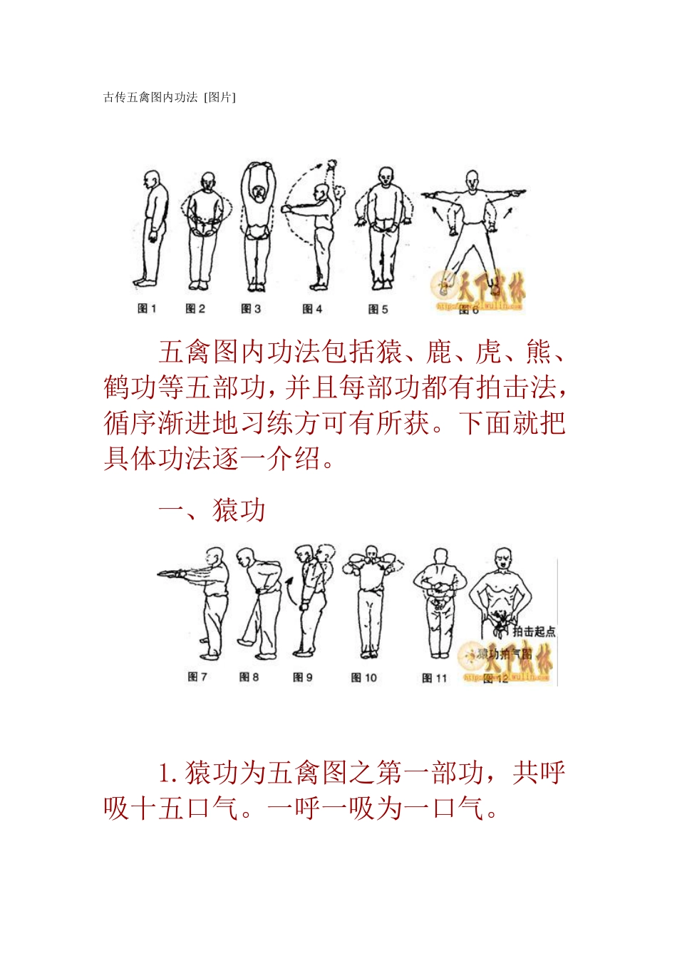 古传五禽图内功法_第1页