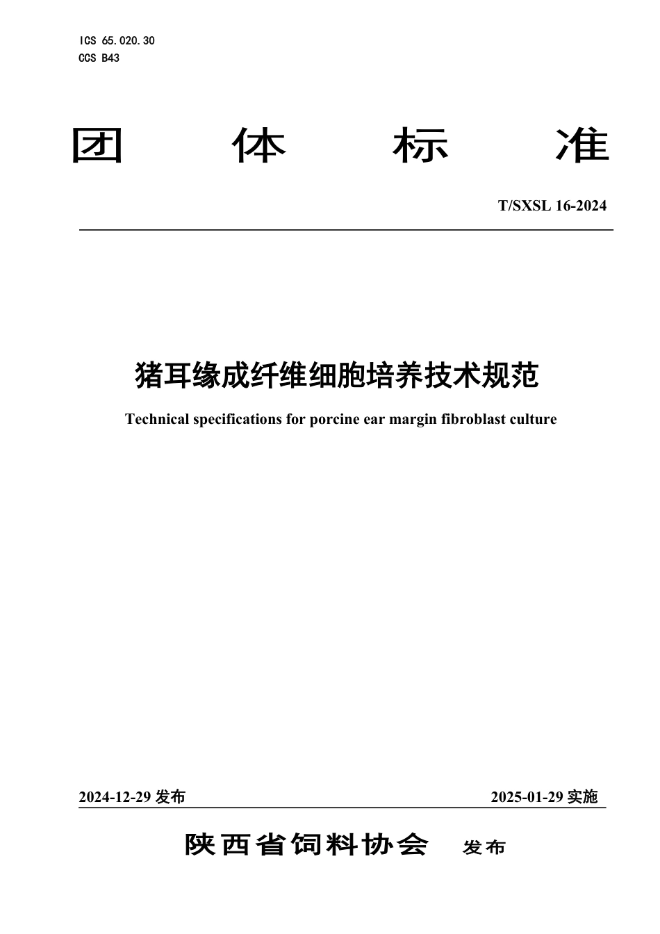 T∕SXSL 16-2024 猪耳缘成纤维细胞培养技术规范_第1页