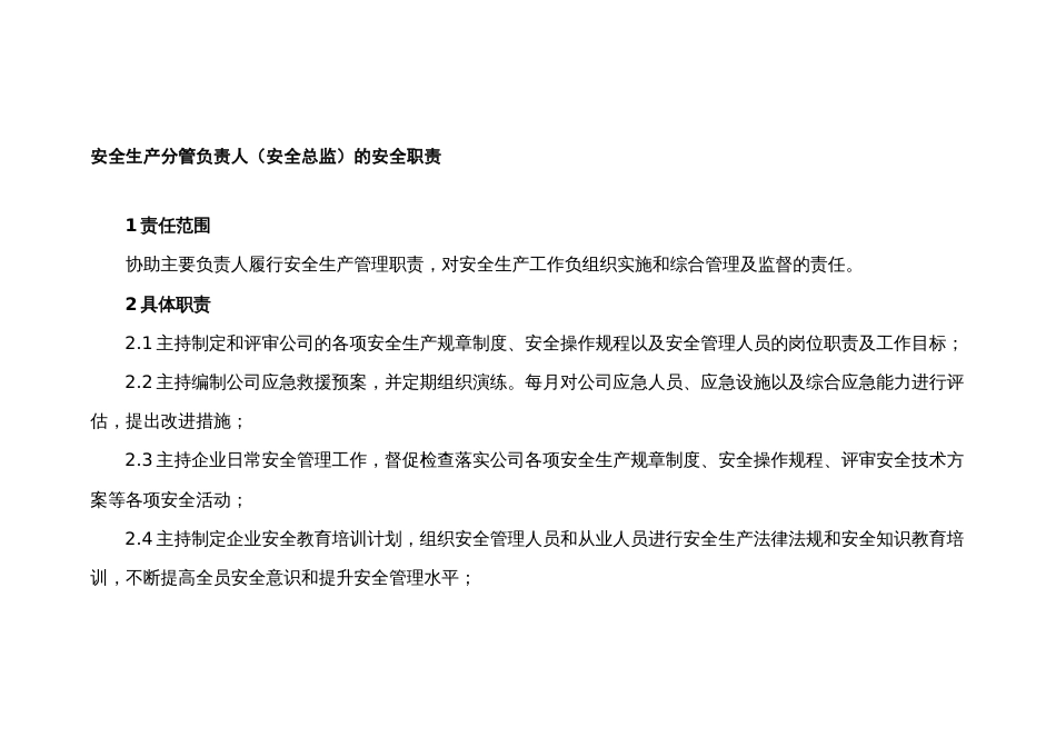 安全生产分管负责人（安全总监）的安全职责_第1页