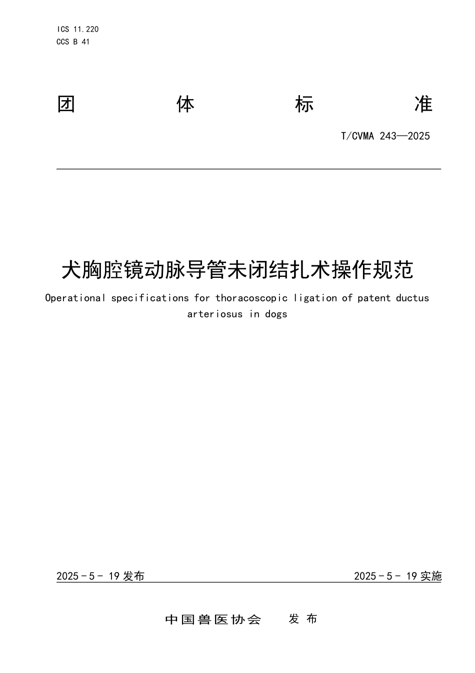 T∕CVMA 243-2025 犬胸腔镜动脉导管未闭结扎术操作规范_第1页