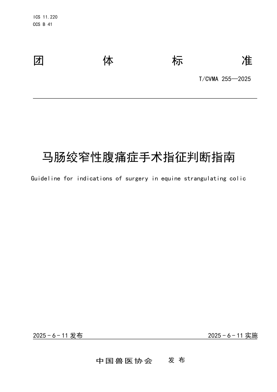 T∕CVMA 255-2025 马肠绞窄性腹痛症手术指征判断指南_第1页