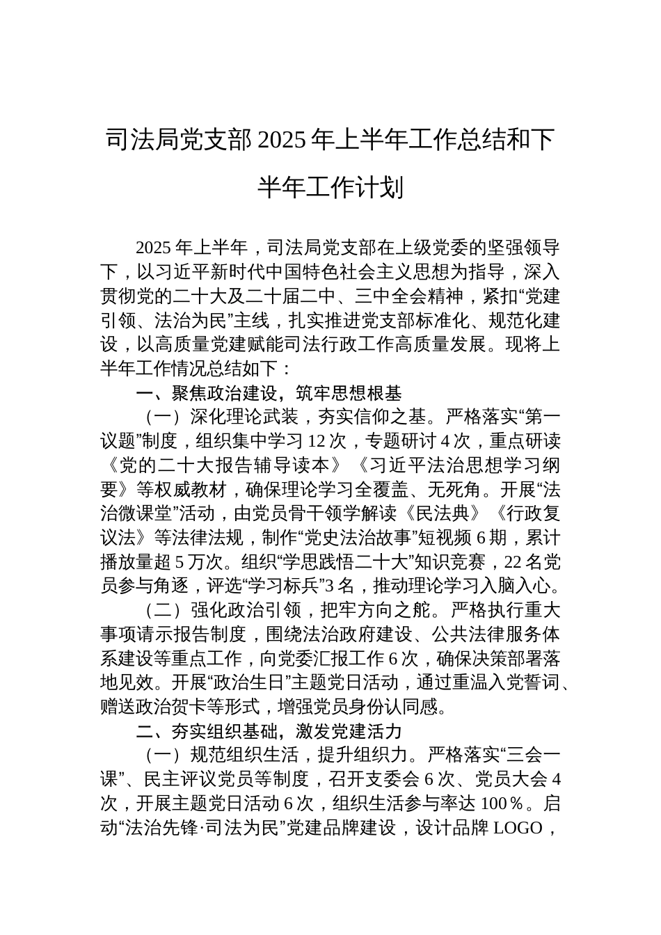 司法局党支部2025年上半年工作总结和下半年工作计划参考_第1页