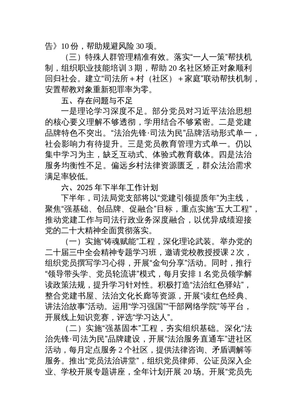 司法局党支部2025年上半年工作总结和下半年工作计划参考_第3页