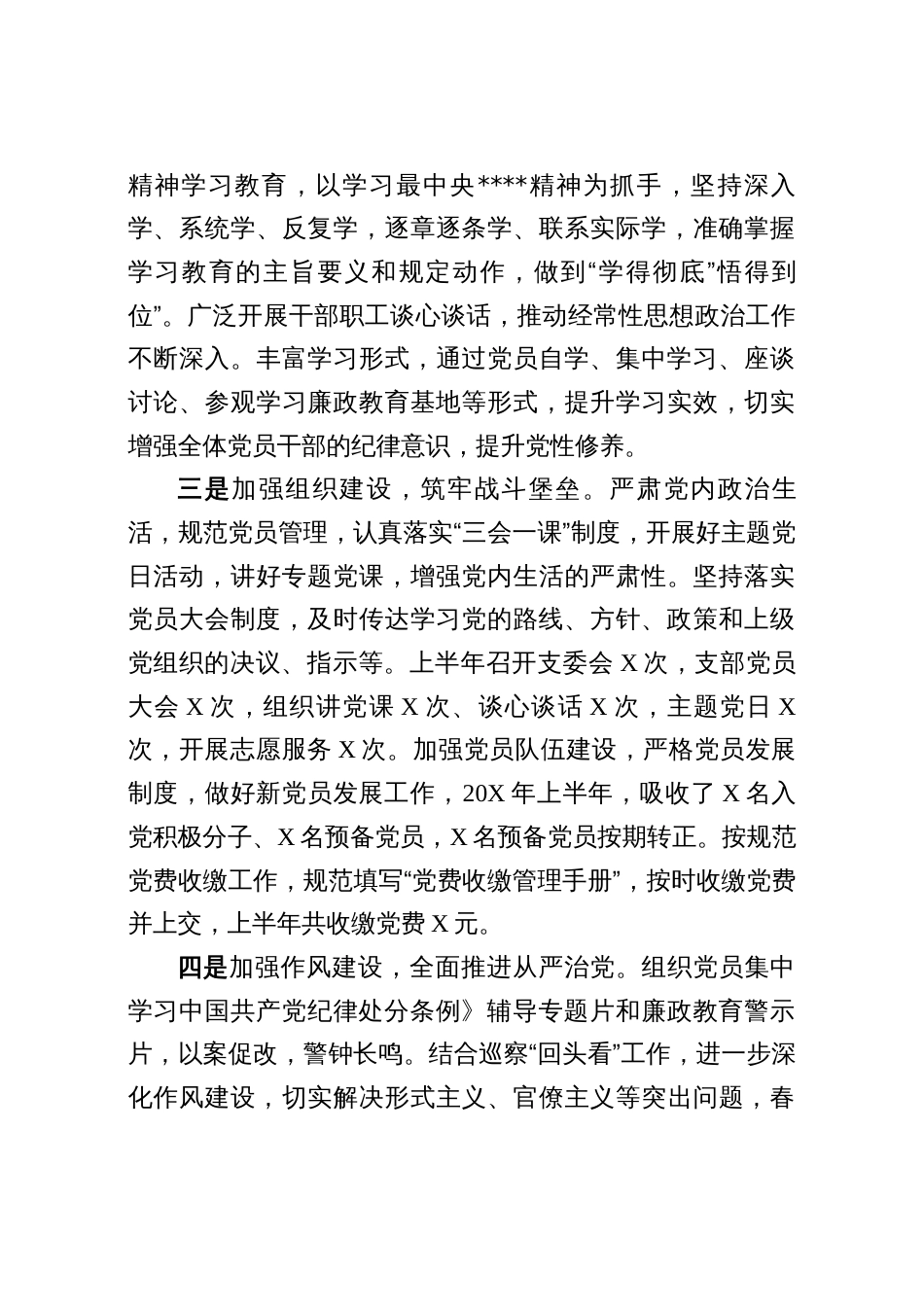 2025党支部书记半年工作总结（三篇）_第3页