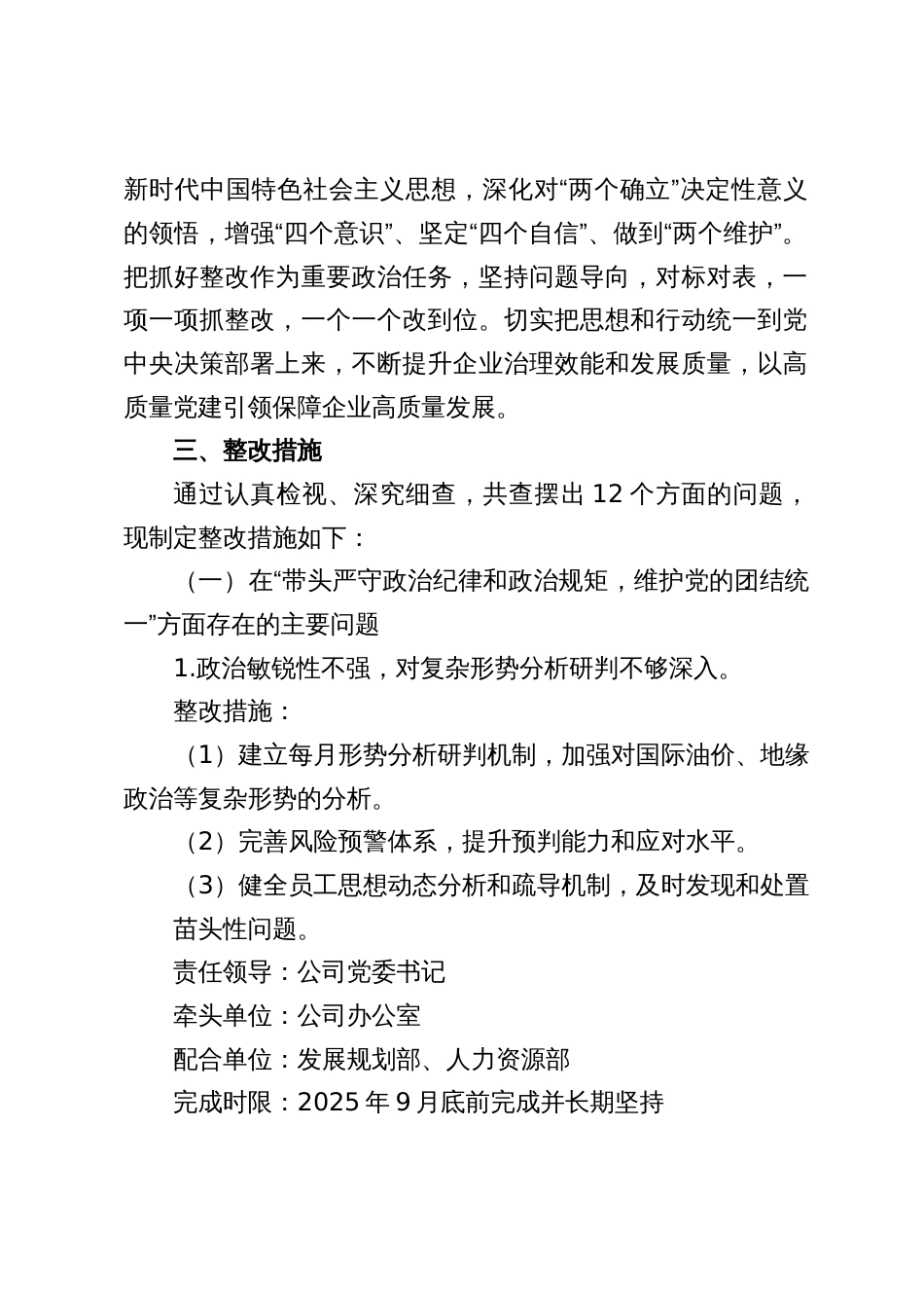公司领导班子2024-2025年度民主生活会整改落实方案（三篇）_第2页