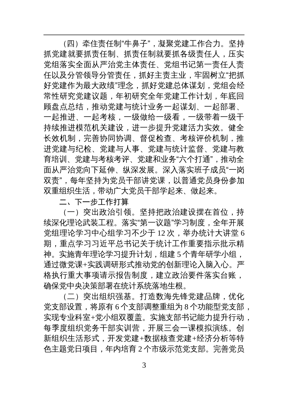 市统计局党组2025年上半年抓基层党建工作总结材料_第3页