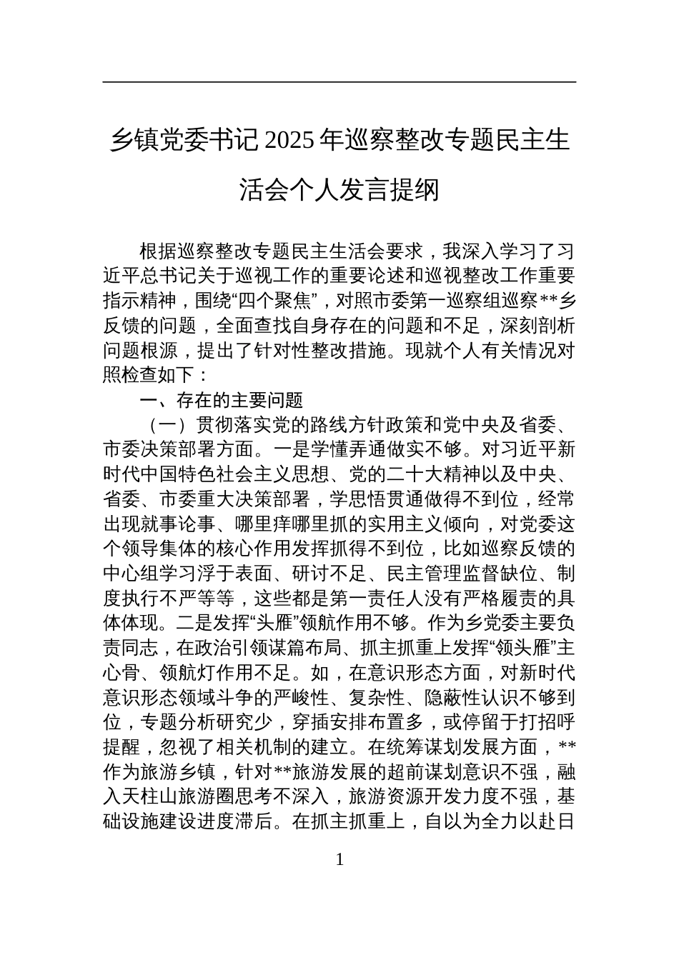 乡镇党委书记2025年巡察整改专题民主生活会个人检查发言提纲_第1页