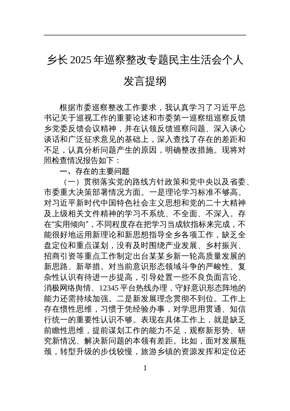 乡长2025年巡察整改专题民主生活会个人发言材料_第1页