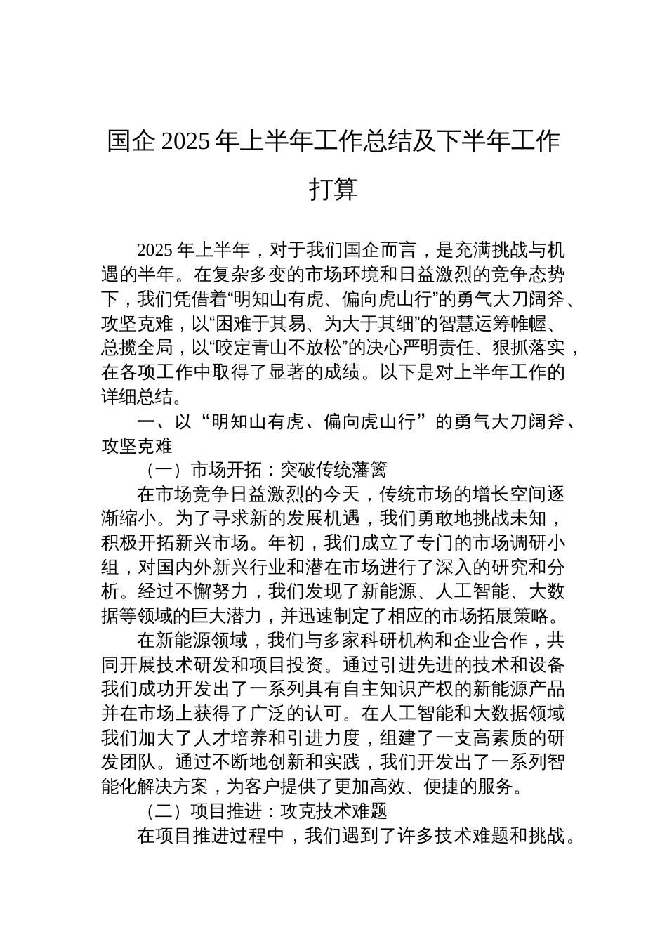 国企2025年上半年工作总结及下半年工作打算材料_第1页