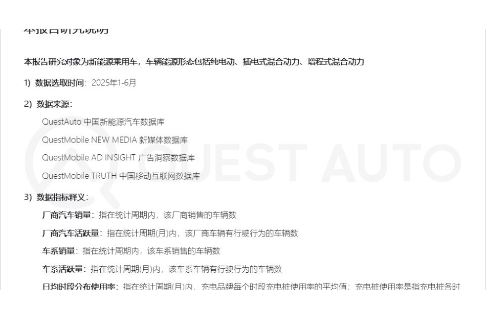 2025年新能源汽车市场发展半年报_第2页