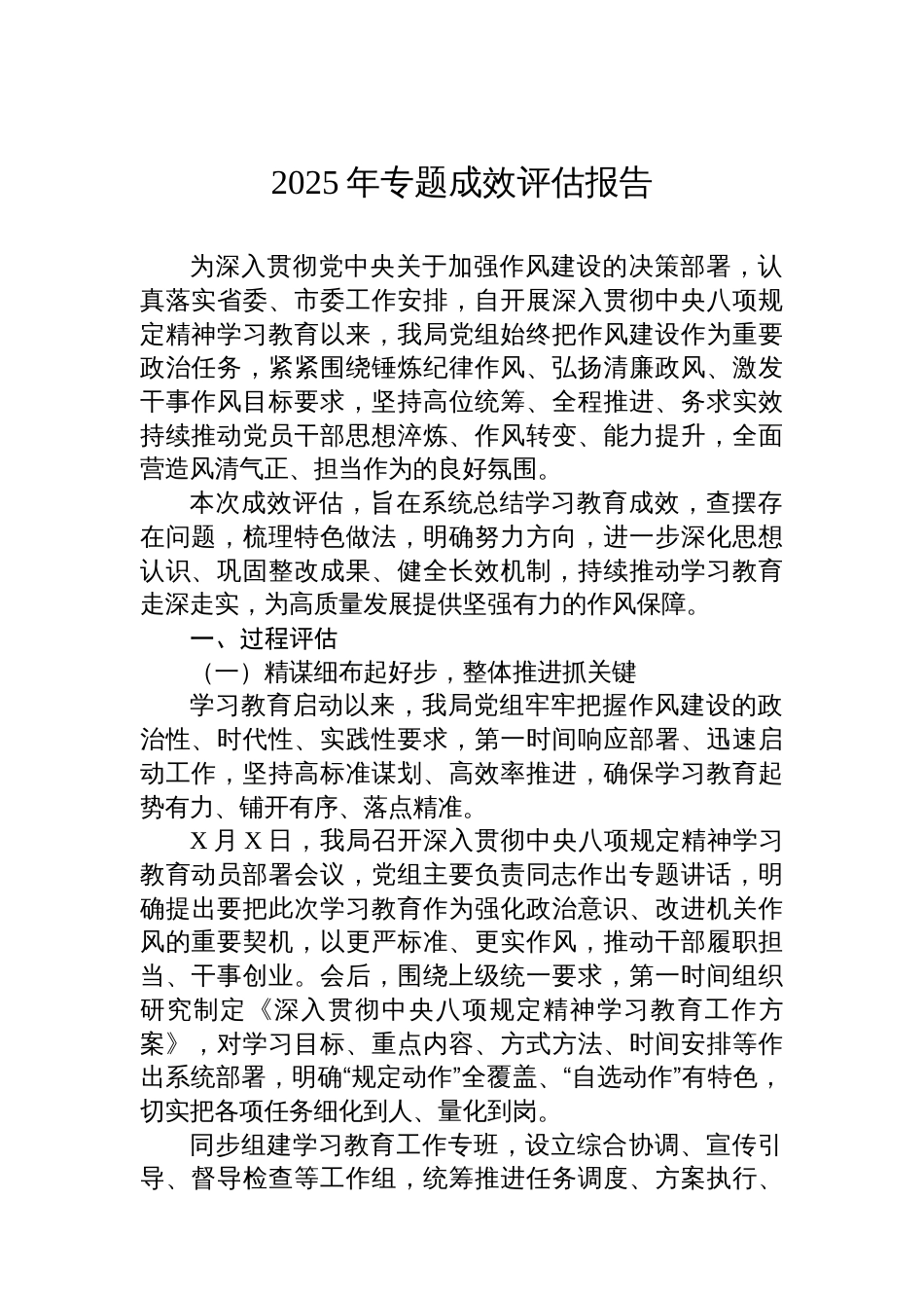 2025年专题成效评估报告_第1页