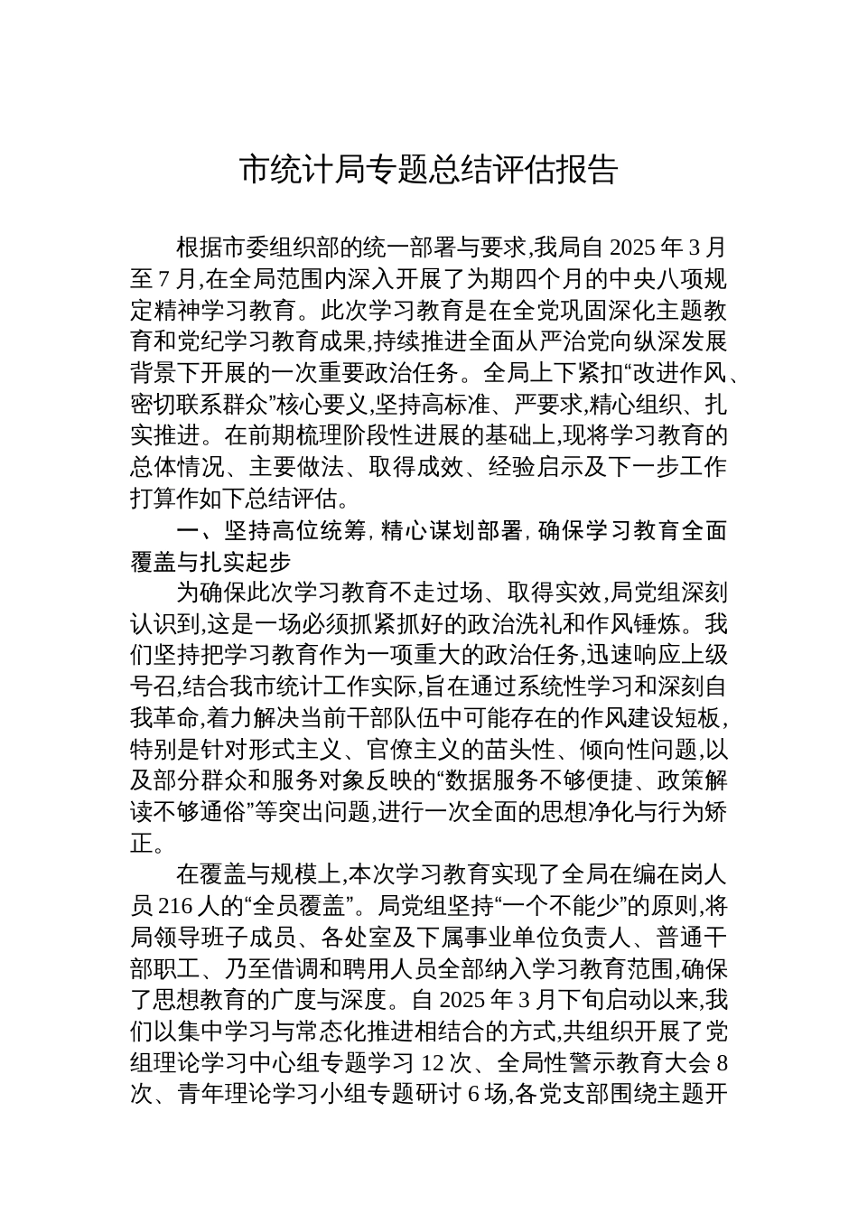 市统计局专题总结评估报告_第1页