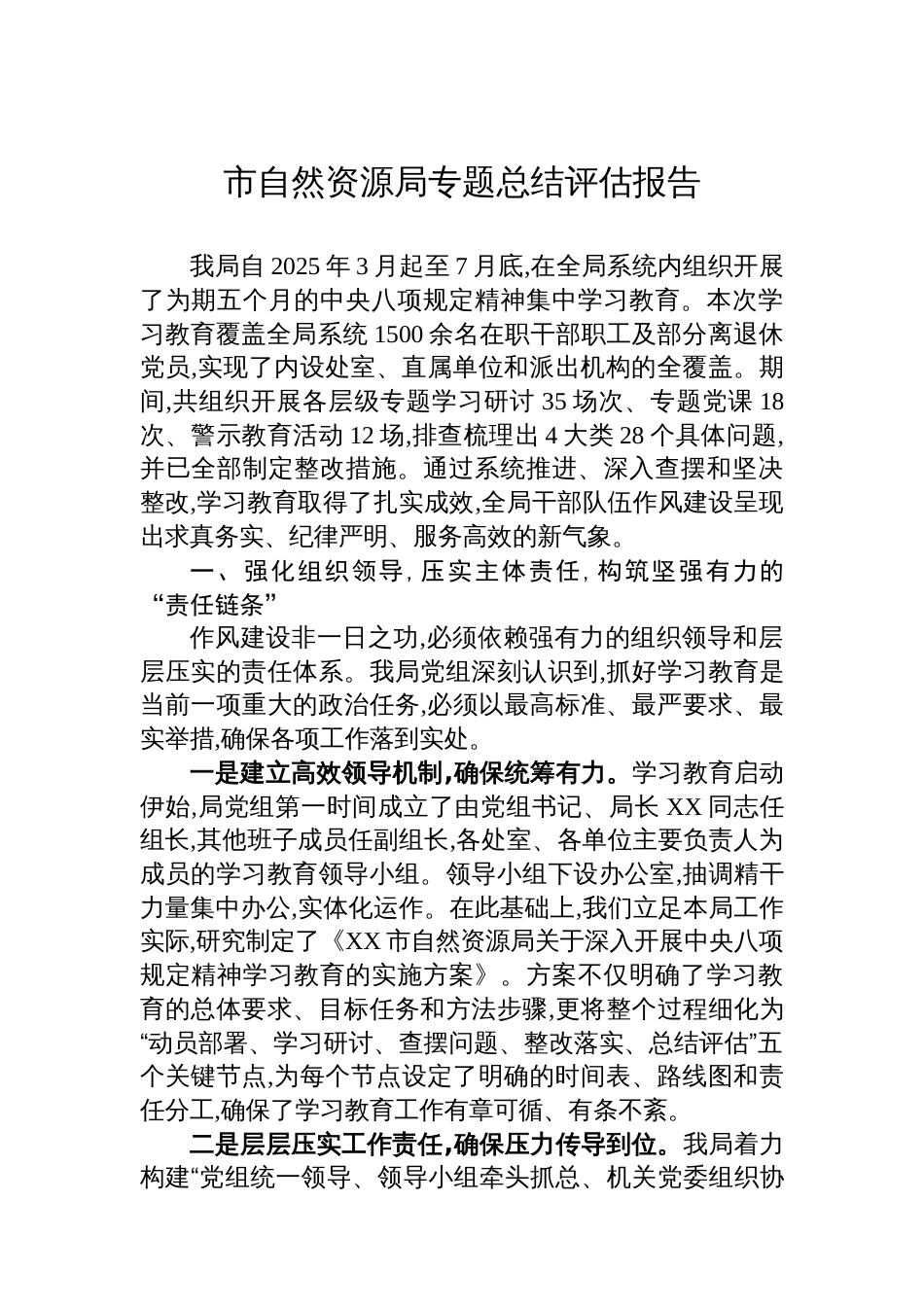 市自然资源局专题总结评估报告_第1页
