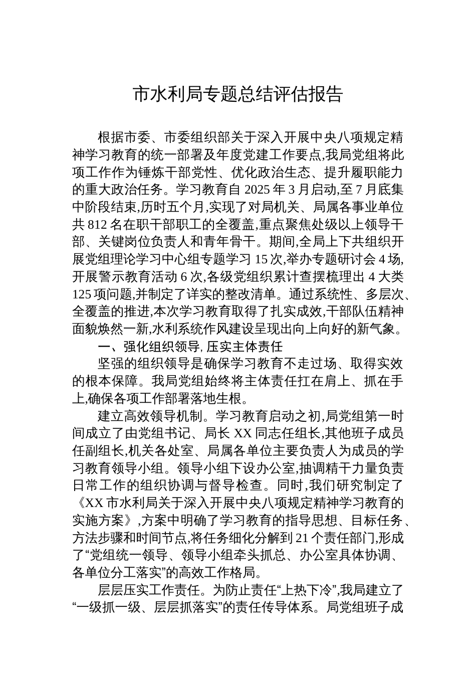 市水利局专题总结评估报告_第1页