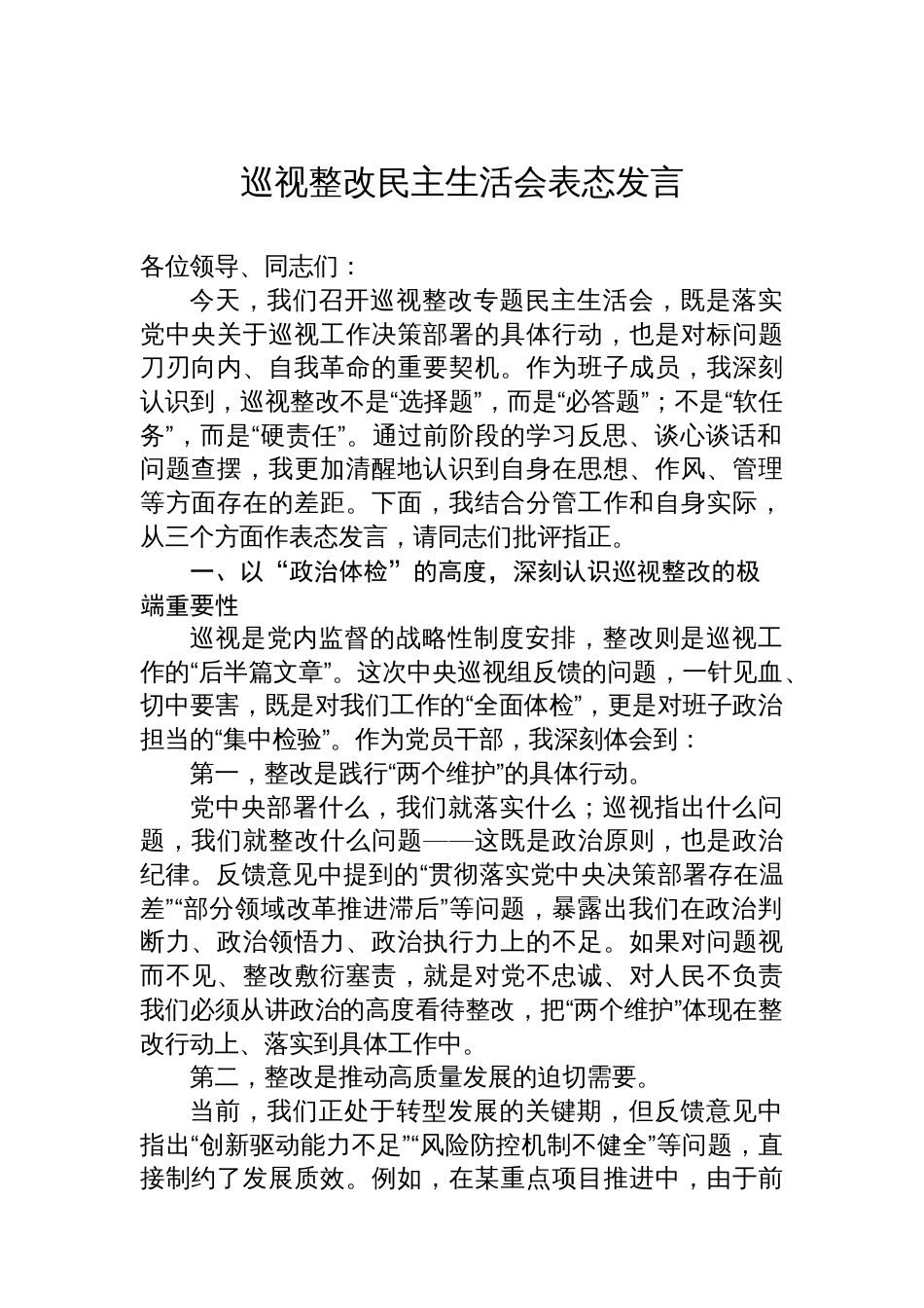 巡视整改民主生活会表态发言_第1页