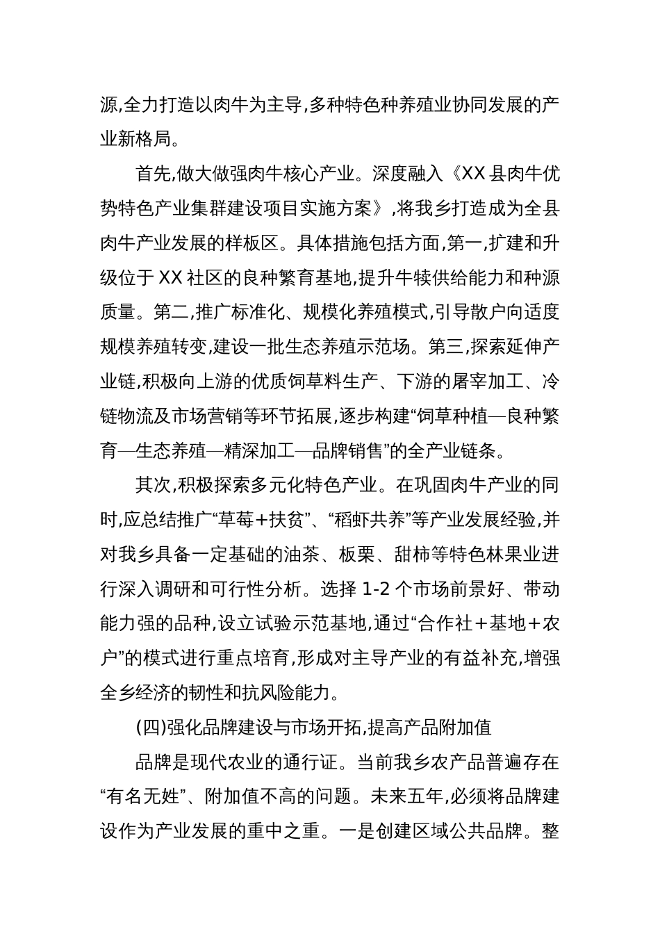 2025乡关于“十五五”时期重点领域发展的规划建议_第3页