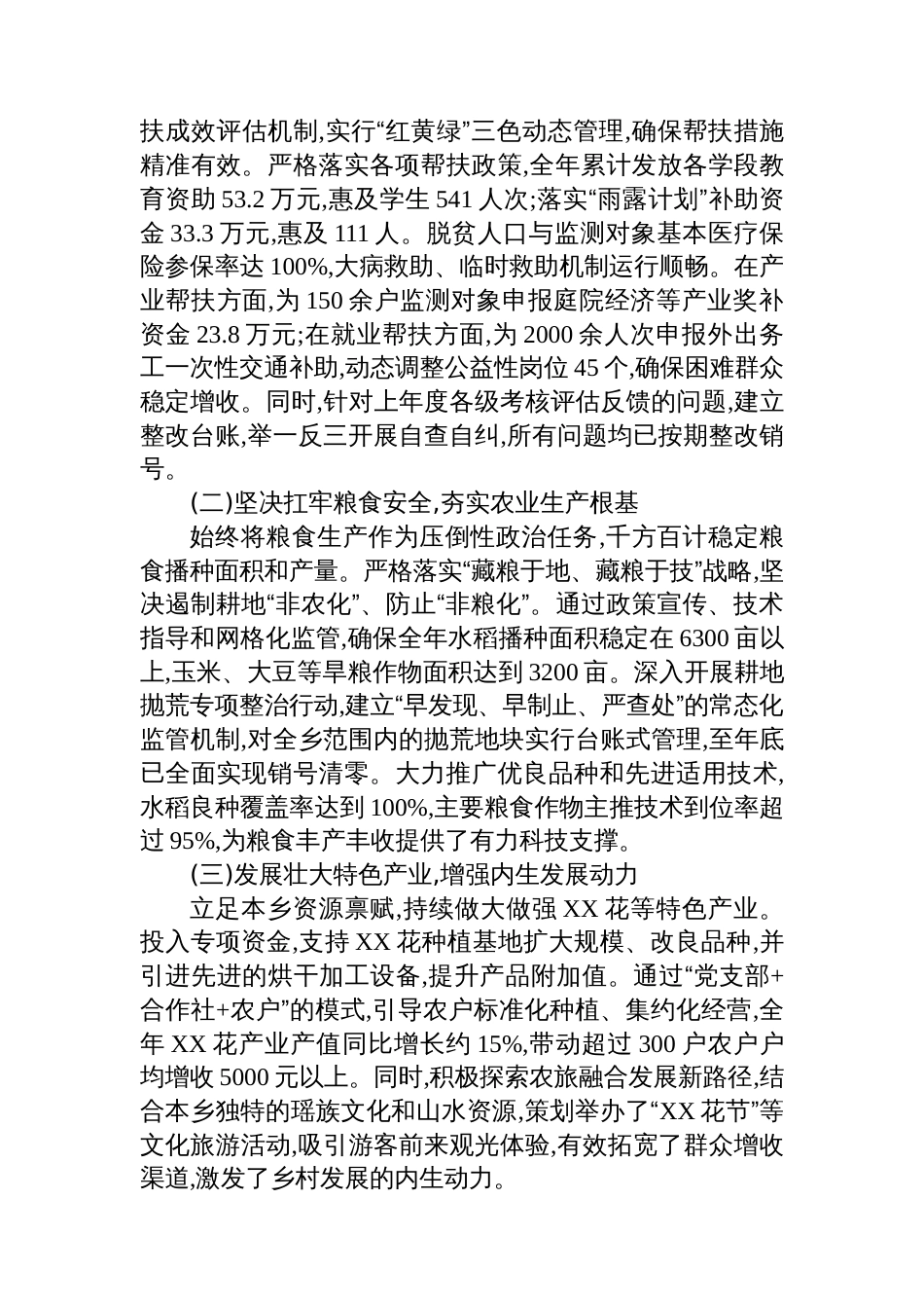 XX县XX乡2025年度工作总结报_第3页