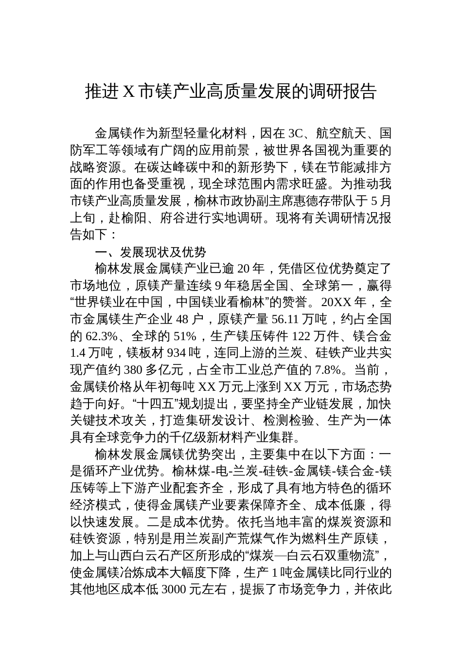 推进X市镁产业高质量发展的调研报告_第1页