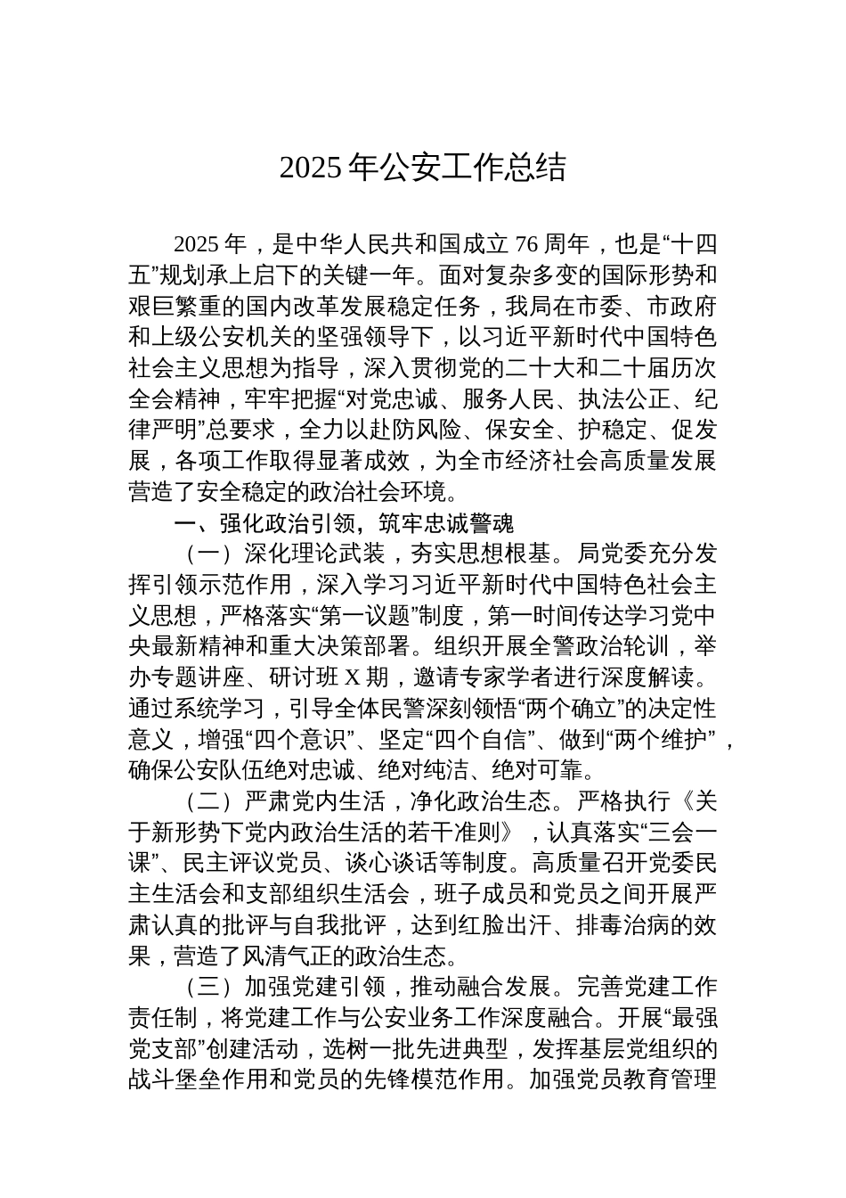 2025年公安工作总结_第1页