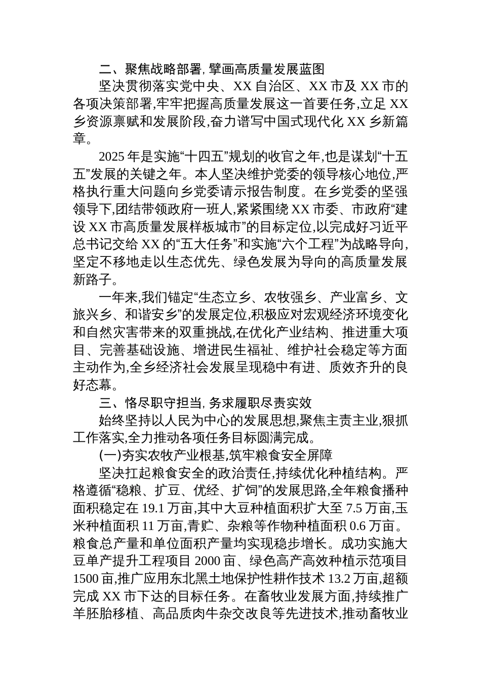 乡长2025年度个人述职述廉报告_第2页