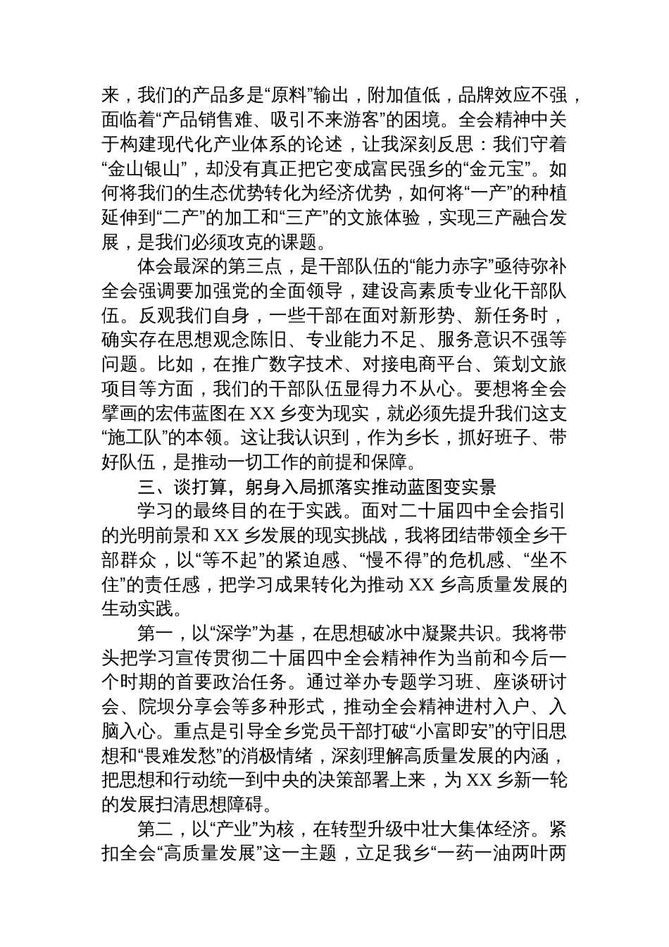 心得体会：以四中全会精神为指引奋力书写XX乡乡村振兴新篇章_第3页