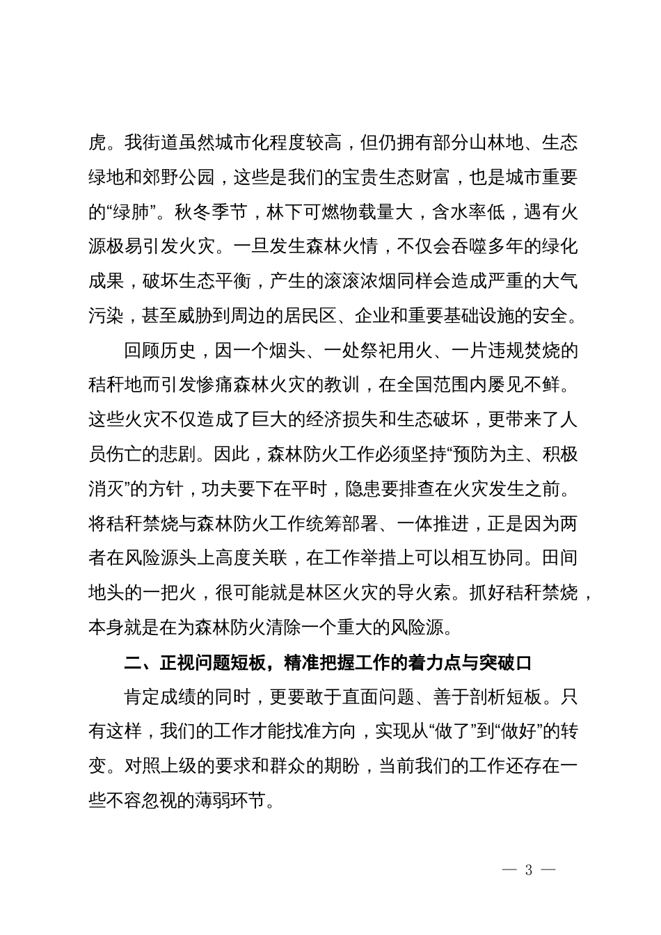 在2025年街道秋冬季秸秆禁烧暨森林防火工作推进会上的讲话_第3页