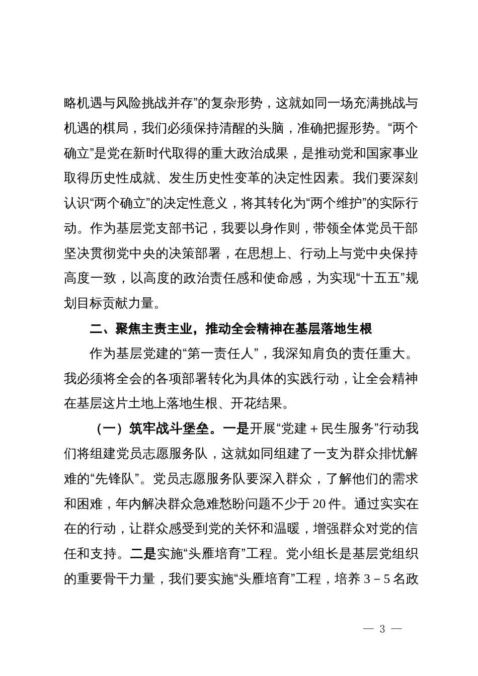 党支部书记学习党的二十届四中全会精神研讨发言_第3页