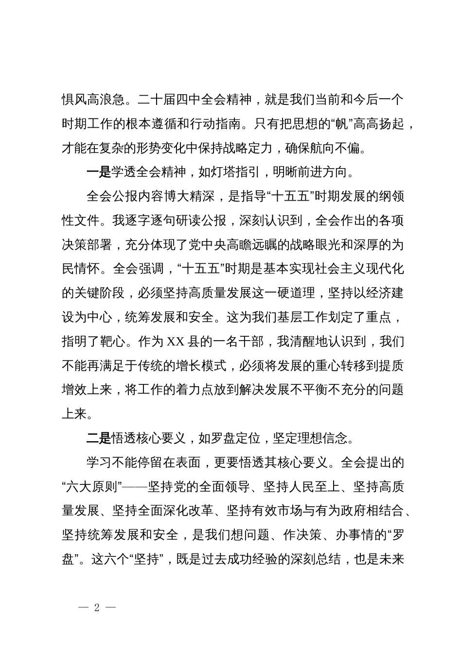 政府副县长学习党的二十届四中全会精神心得_第2页
