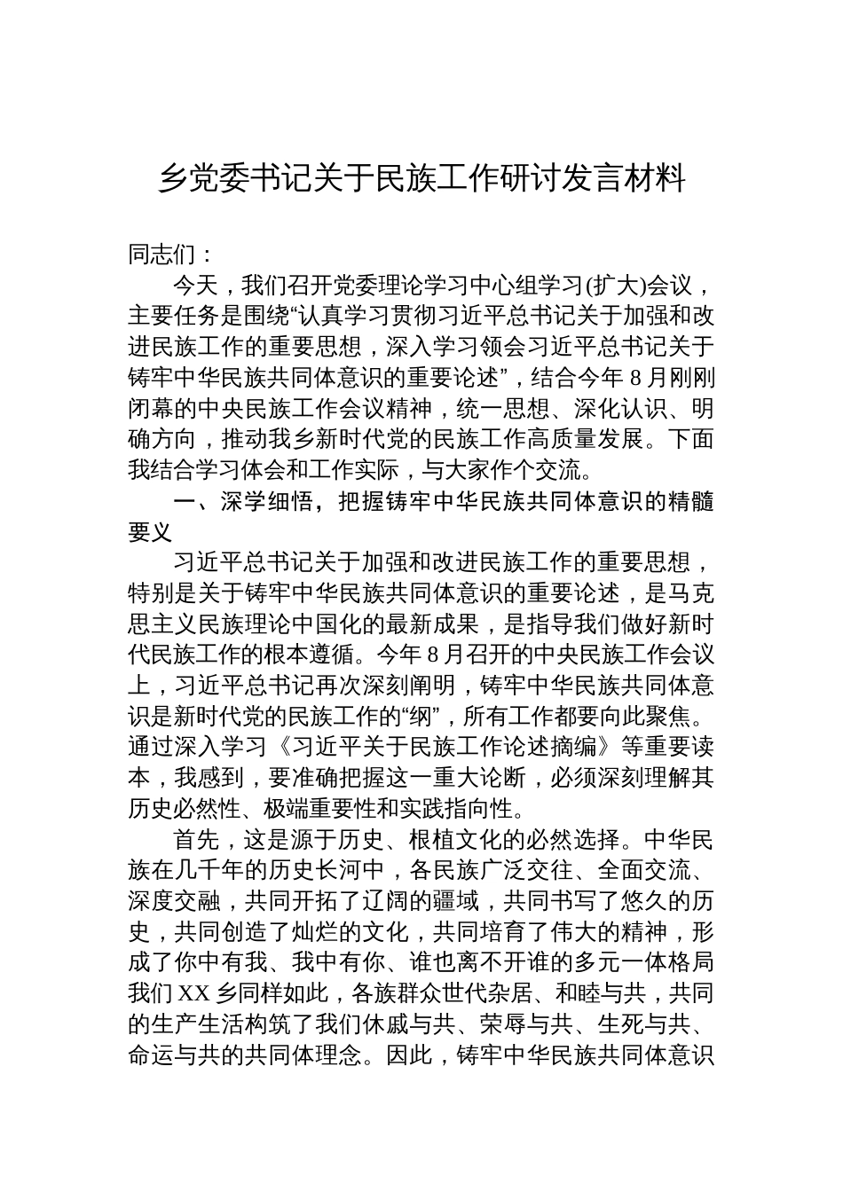 2025乡党委书记关于民族工作研讨发言材料_第1页