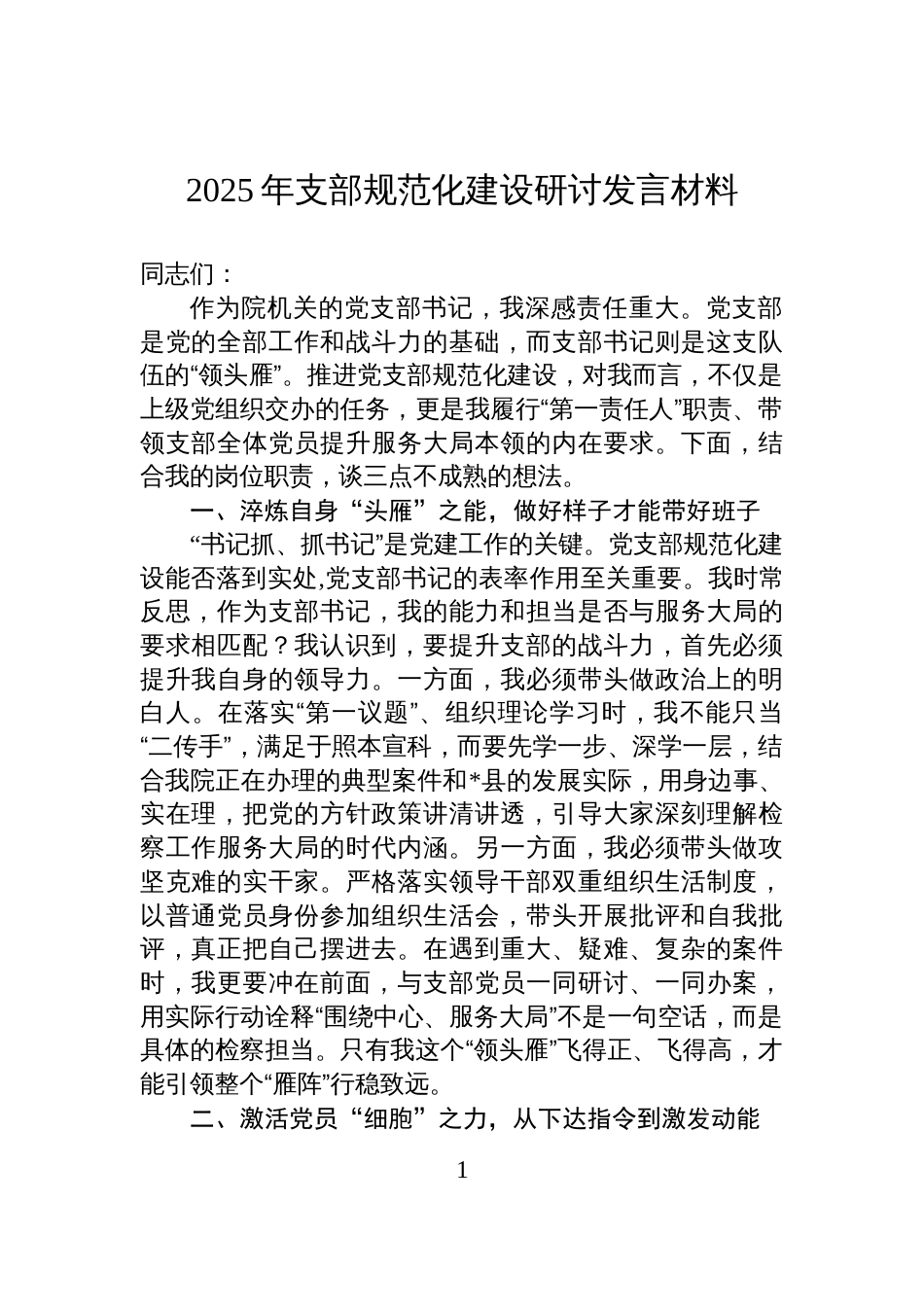 2025年支部规范化建设研讨发言材料_第1页