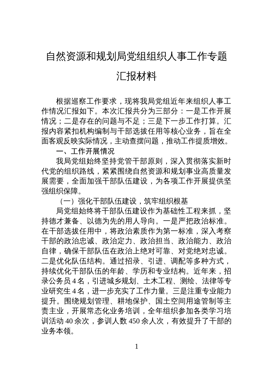 自然资源和规划局党组组织人事工作专题汇报材料_第1页