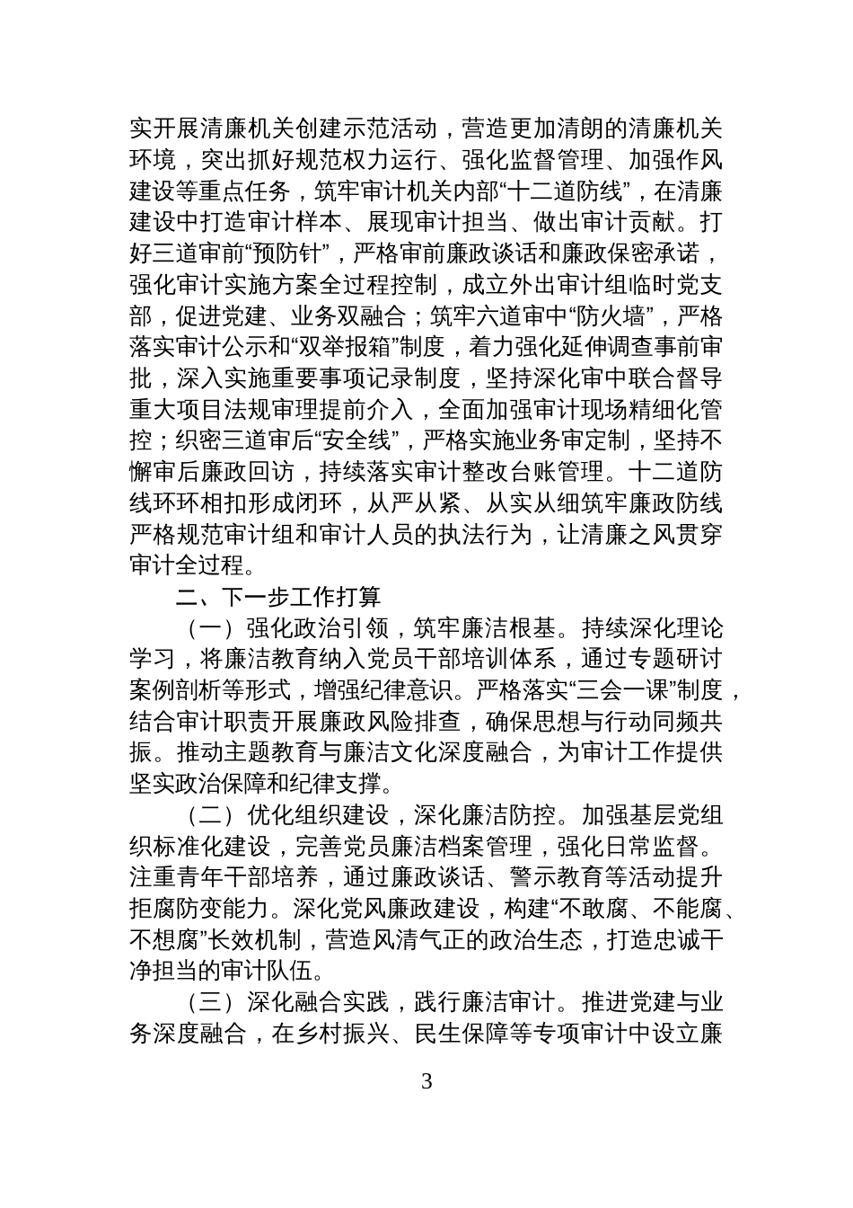 市审计局2025年述职述廉述党建工作报告_第3页