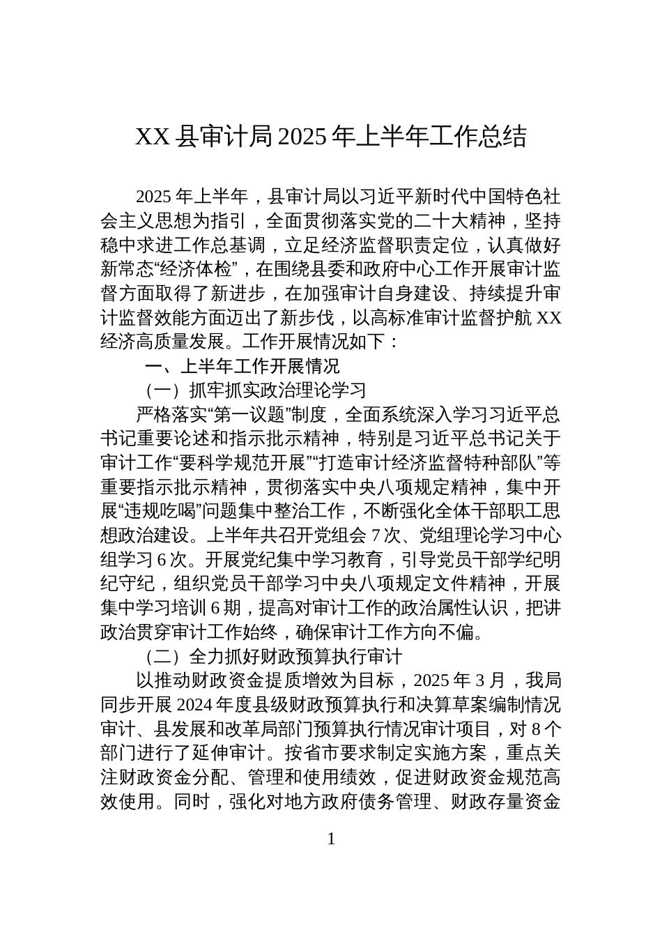 XX县审计局2025年上半年工作总结_第1页