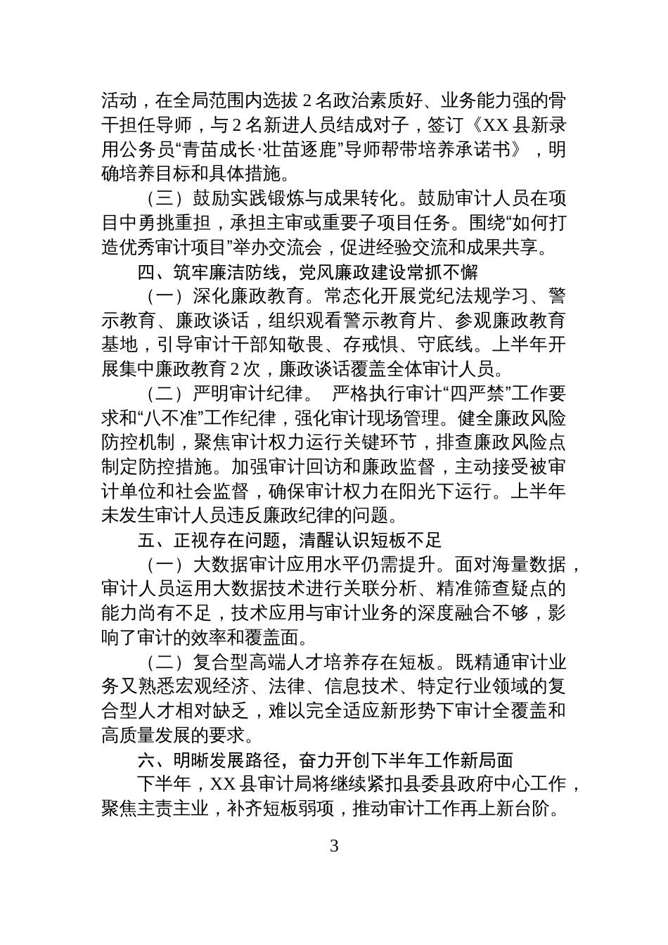 XX县审计局2025年上半年工作总结和+下半年工作计划_第3页