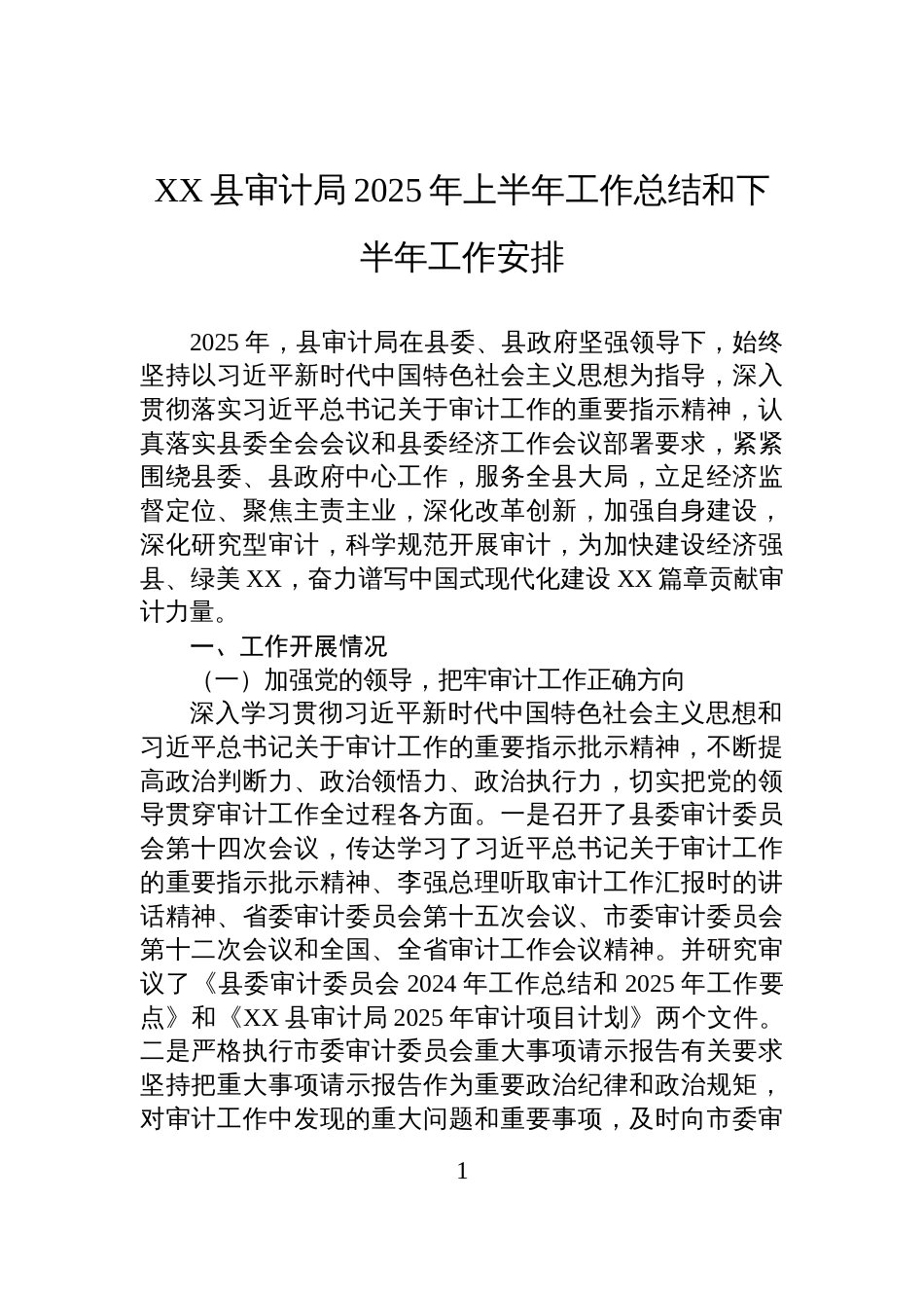 XX县审计局2025年上半年工作总结和下半年工作安排_第1页