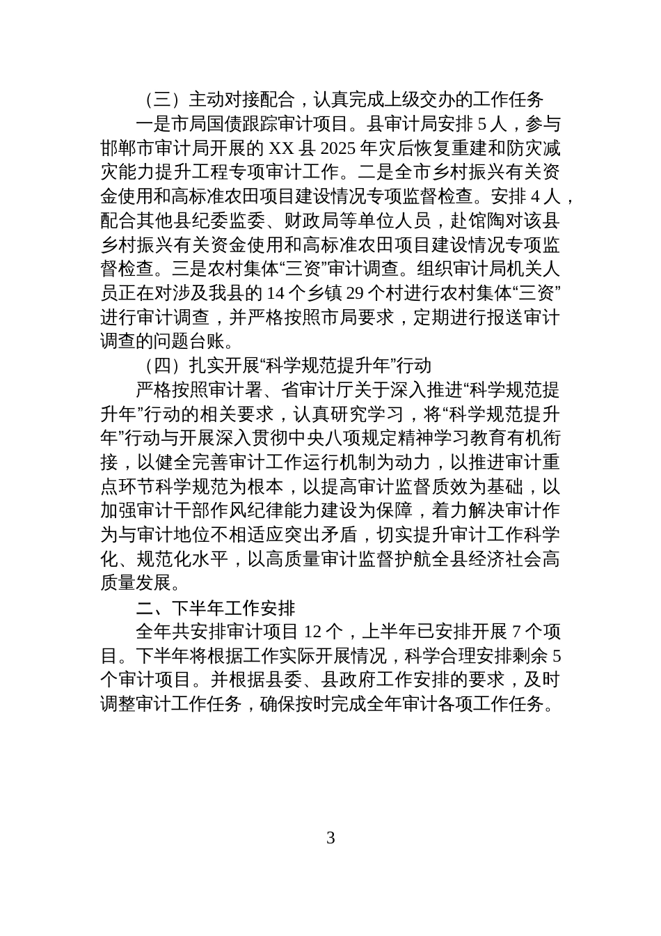 XX县审计局2025年上半年工作总结和下半年工作安排_第3页