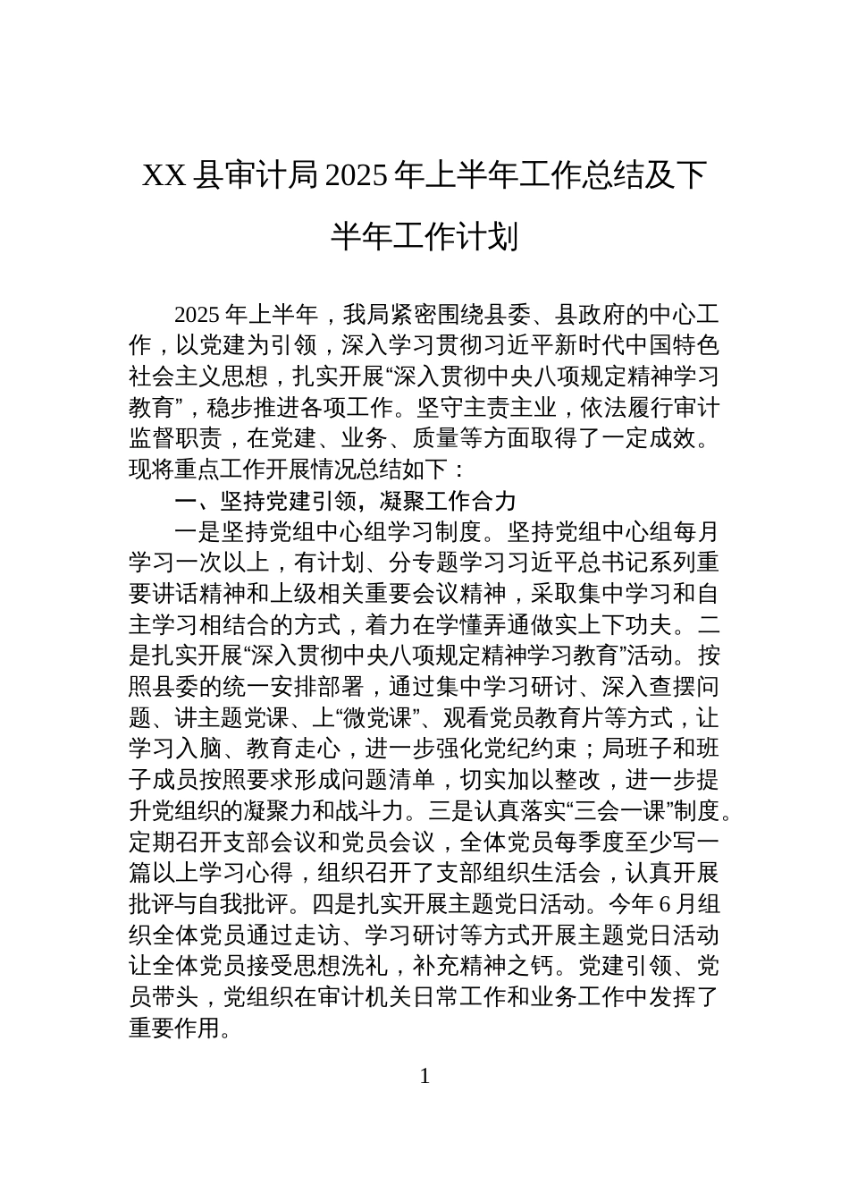 XX县审计局2025年上半年工作总结及下半年工作计划_第1页