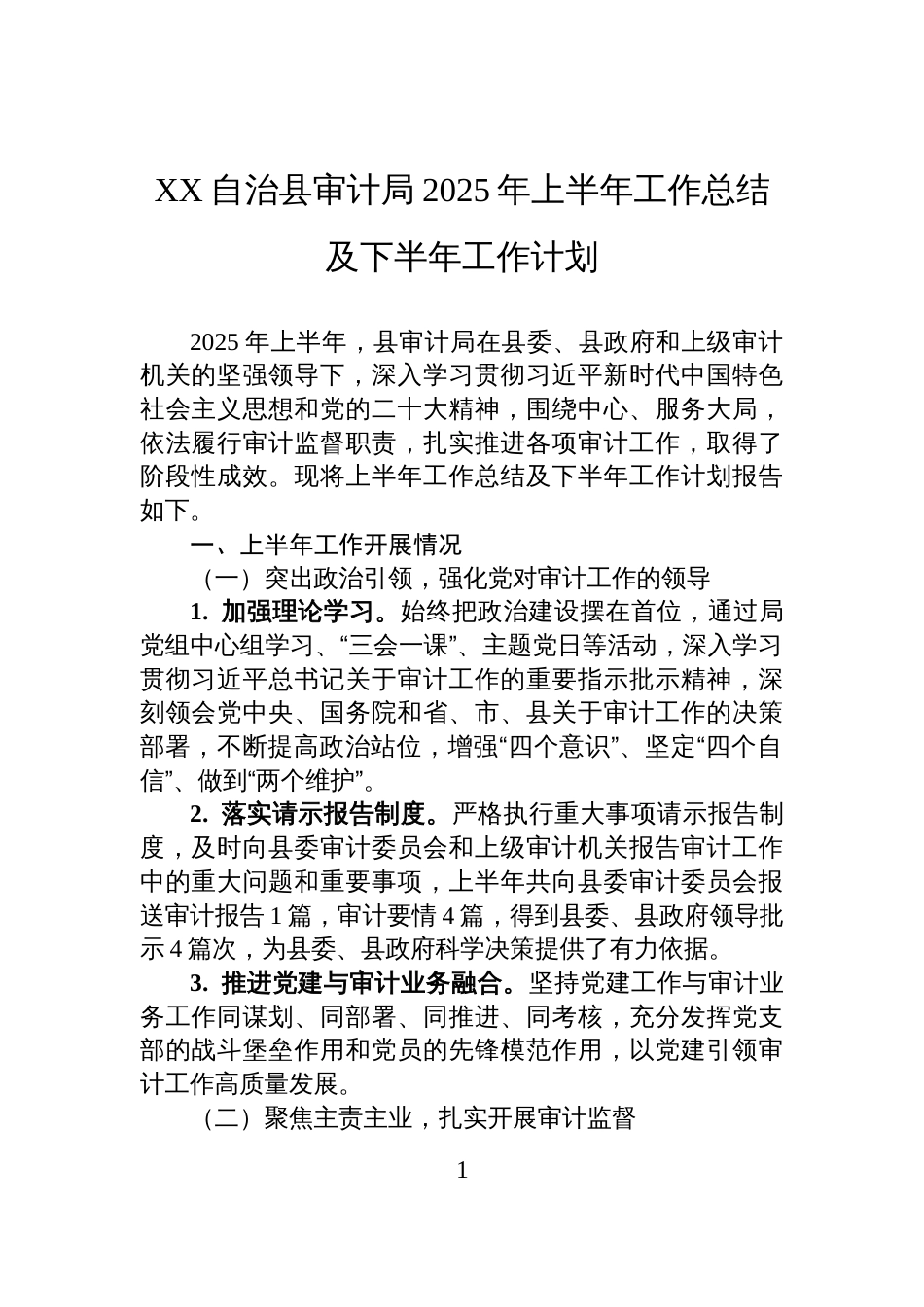 XX自治县审计局2025年上半年工作总结及下半年工作计划_第1页