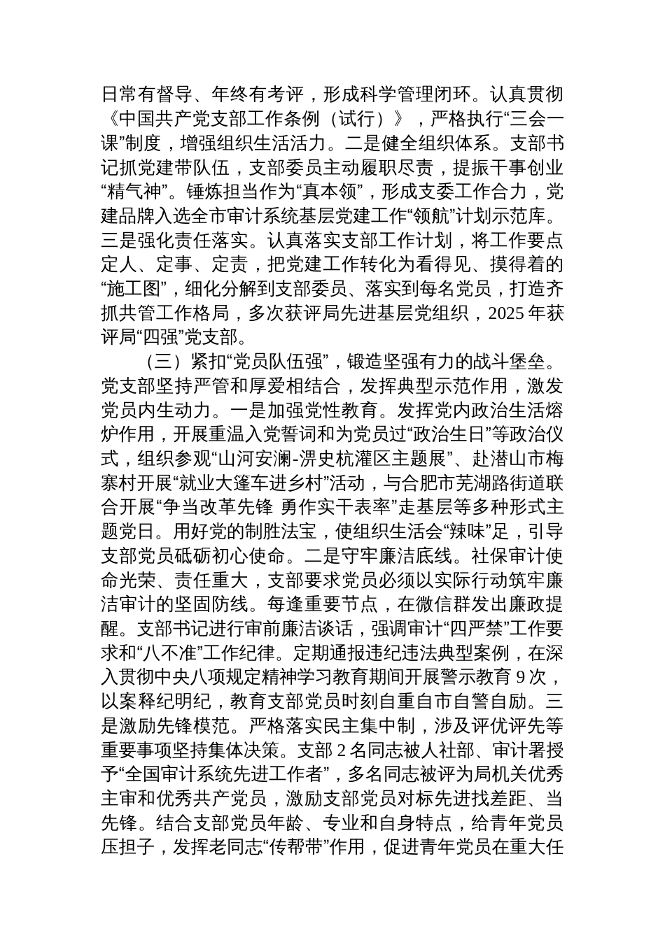 市审计局党支部抓基层党建工作总结_第2页