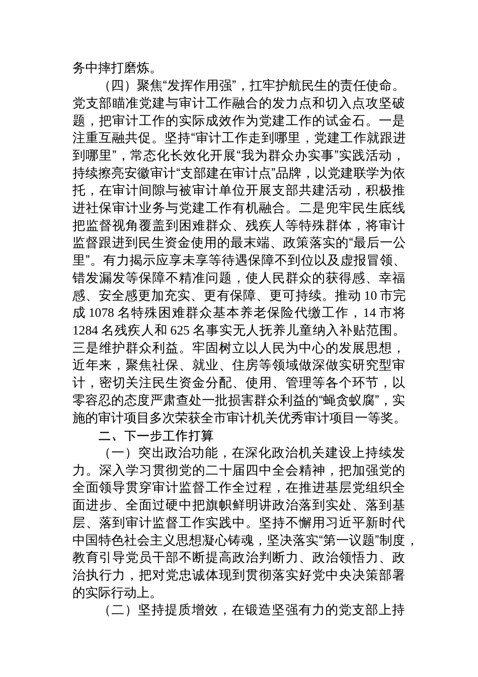 市审计局党支部抓基层党建工作总结_第3页