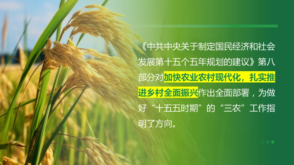 “十五五”规划建议三农工作部署解读模板PPT_第2页