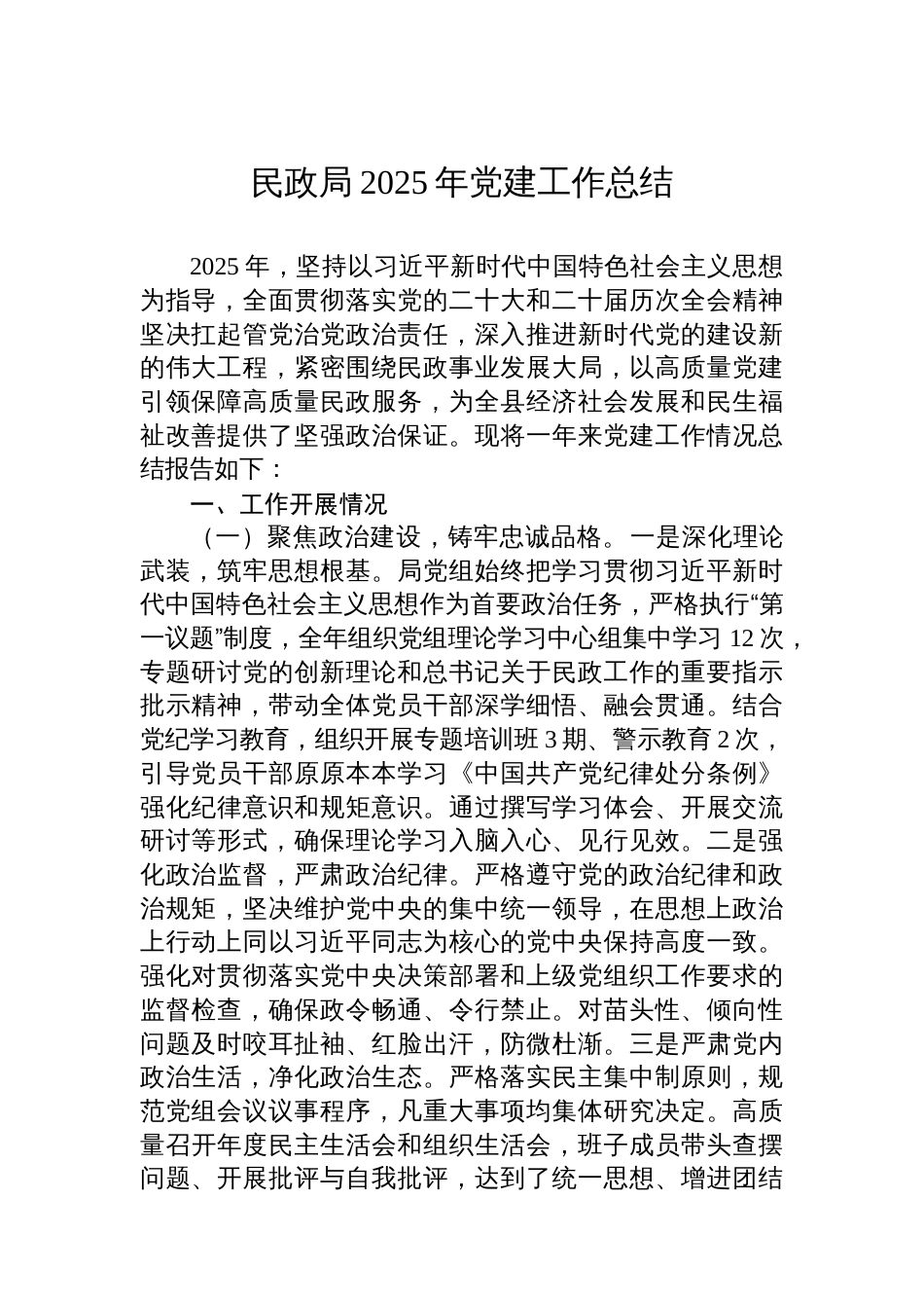 民政局2025年党建工作总结_第1页