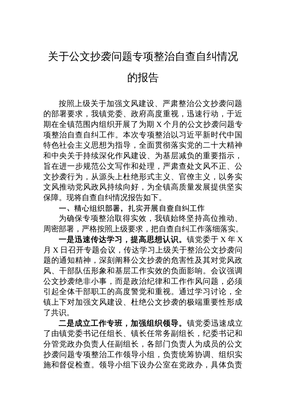 关于公文抄袭问题专项整治自查自纠情况的报告_第1页